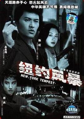 纽约风暴[电影解说]海报