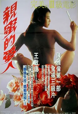 危情1993海报