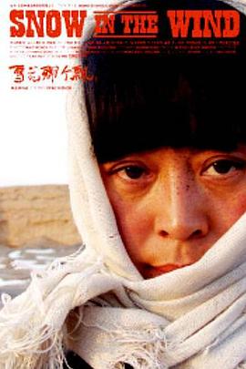 雪花那个飘2006[电影解说]海报
